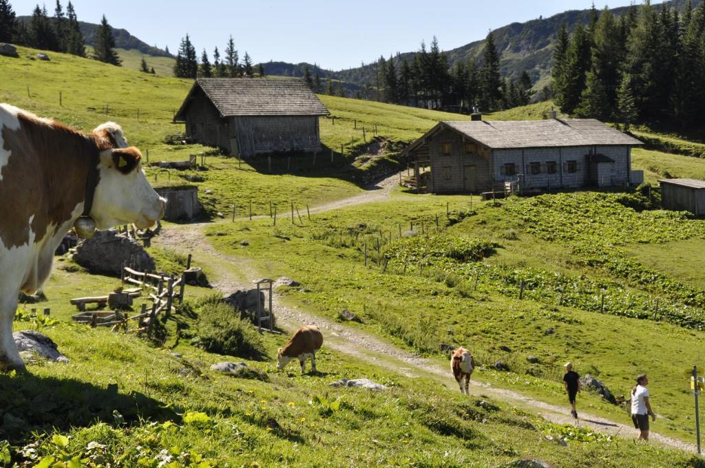 Landhaus Koller Гозау Екстериор снимка